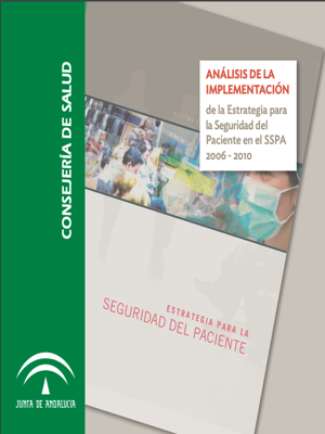 analisis_implementacion_2006